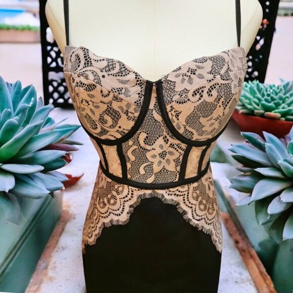 Blashe ✦ Black & Pink Lace Bustier Mini Dress ✦ Curve-Hugging w/ Padded Cups L - Picture 9 of 16